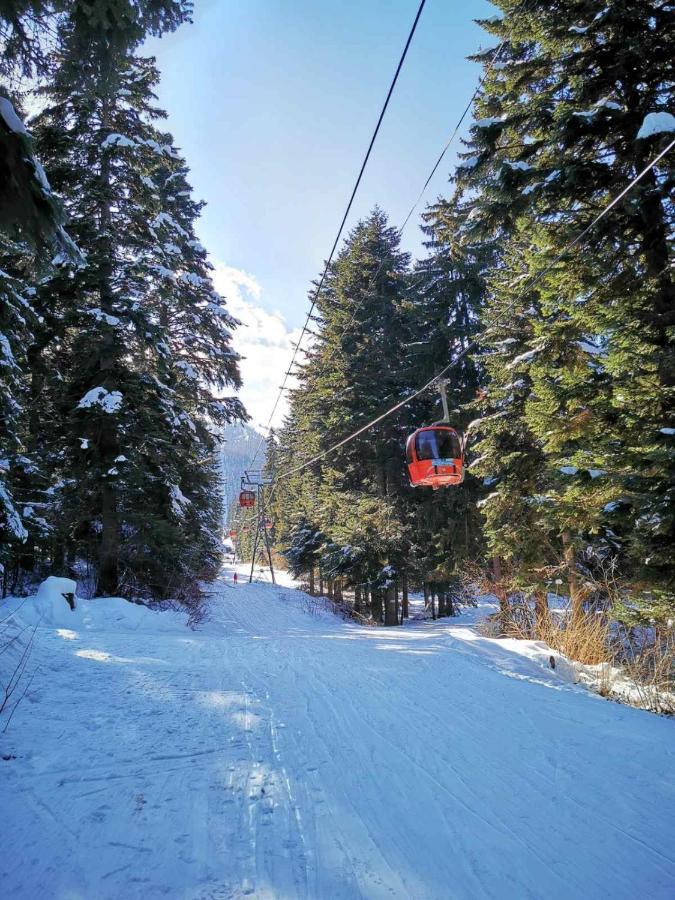 Mountain Paradise In Aparthotel Borovets Gardens Exterior foto